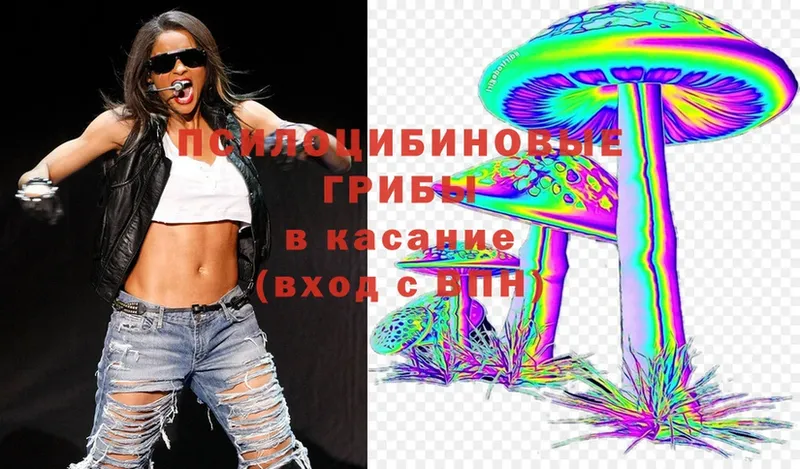 Галлюциногенные грибы MAGIC MUSHROOMS  гидра как войти  Тайшет  как найти закладки 